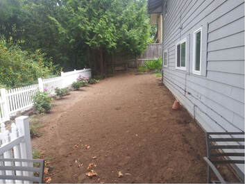 Bare, tilled dirt in a backyard after tree tailings were cleared
