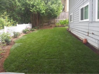 The same backyard with fresh green sod installed
